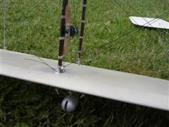 PICT1931.JPG